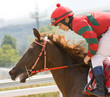 Jockey.