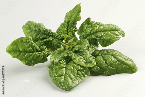 Photo: Spinaci in foglia Spinaci in foglia