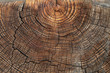 Old wood background