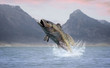 Great Catch