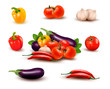 Vector: The big colorful group of vegetables Vector The big colorful group of vegetables Vector