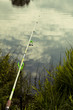 Fishing rod