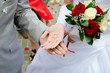 the wedding