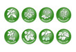 Kräuter Vektor Buttons