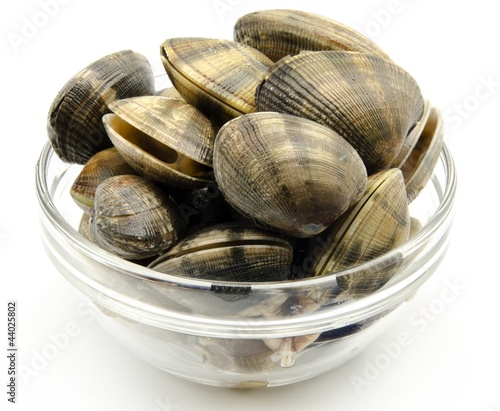 Photo: Almejas Almejas