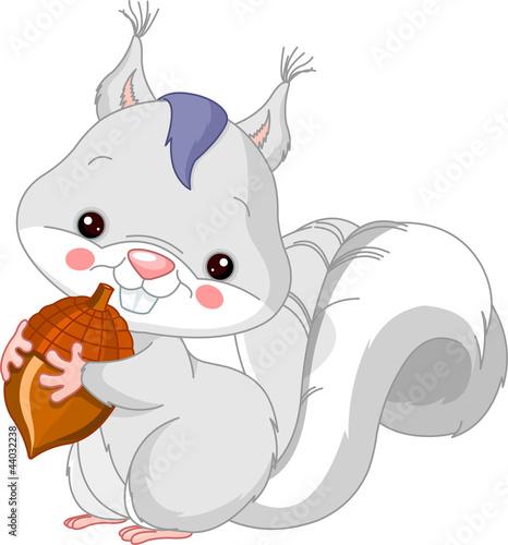 Vektor: Fun zoo. White squirrel Fun zoo. White squirrel