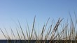 ostsee