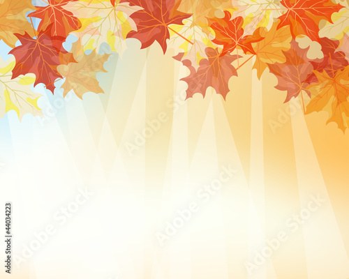 Vektor: Autumn background Autumn background