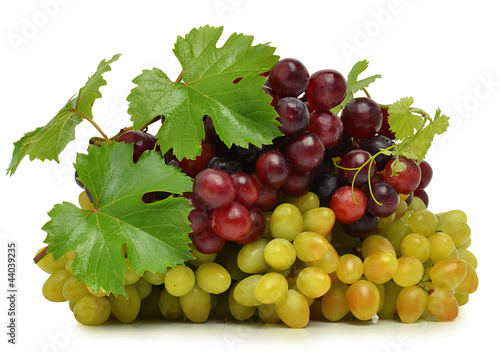 Photo: Ripe grape Ripe grape