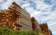 Photo: Stocks of wooden boards Stocks of wooden boards