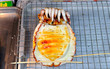 Grilled Squid 