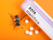 Photo: Apis Mellifica homeopathic medication and bee Apis Mellifica homeopathic medication and bee