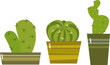 vector collection of small cactuses in a pots