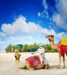 Camel on Dubai Island Beach, United Arab Emirates