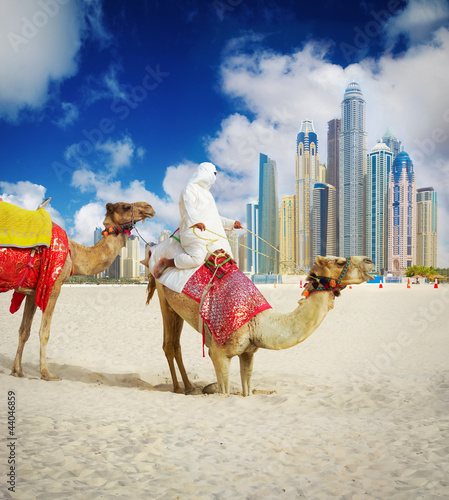 Photo: Camel on Dubai Marina Beach, United Arab Emirates Camel on Dubai Marina Beach, United Arab Emirates