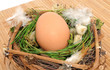 Osternest