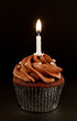 chocolate cupcake