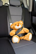 Photo: Teddy Bear in a car Teddy Bear in a car