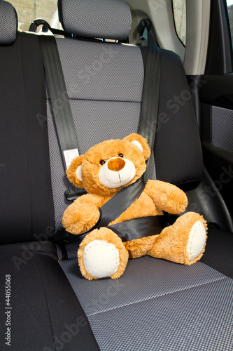 Photo: Teddy Bear in a car Teddy Bear in a car
