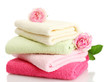 bright towels and roses isolated on white