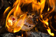 Hot Cards