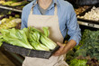 Photo: Midsection of man holding basket of bok choy in supermarket Midsection of man holding basket of bok choy in supermarket
