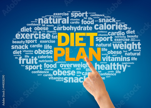 Illustration: Diet Plan Diet Plan