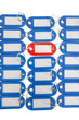Close-up of red key ring tag surrounded by blue tags