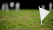 Video: Cricket boundary flag Cricket boundary flag