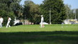 Video: cricket match in Belgium cricket match in Belgium