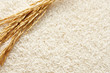 rice background