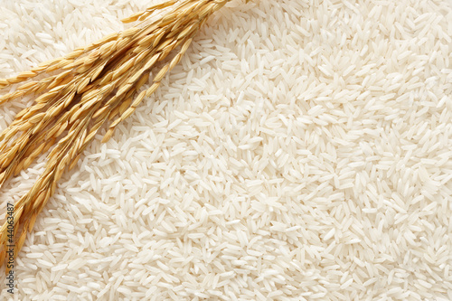 Photo: rice background rice background
