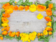 Etikett für Ringelblumenprodukte
