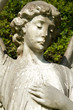 Angel statue.