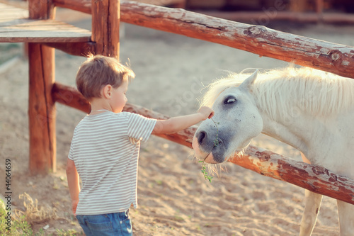 Photo: on a farm the boy in jeans with white a pony gets acquainted on a farm the boy in jeans with white a pony gets acquainted