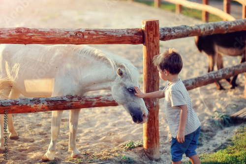 Photo: on a farm the boy in jeans with white a pony gets acquainted on a farm the boy in jeans with white a pony gets acquainted