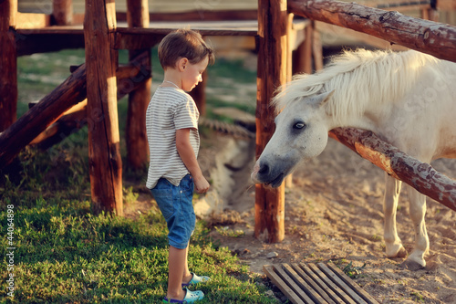Photo: on a farm the boy in jeans with white a pony gets acquainted on a farm the boy in jeans with white a pony gets acquainted