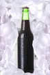 Bottle of beer is in ice