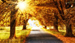 Foto: Herbstalle, schwäbische Alb Herbstalle, schwäbische Alb