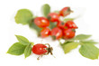 Hagebutten, Rose hips