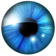 Human iris