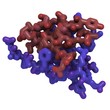 Insulin molecule - chemical structure