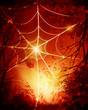 Halloween background
