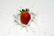 Erdbeere02