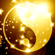Yin Yang sign