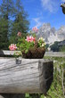 Foto: Sulzenalm 21 Sulzenalm 21