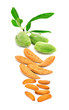 Foto: Almonds Almonds