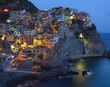 Night view of Manarola (Italy)