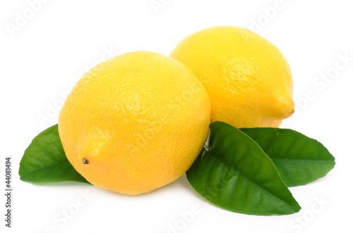 Photo: lemon lemon