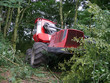 Foto: holzvollerntemaschine im einsatz holzvollerntemaschine im einsatz